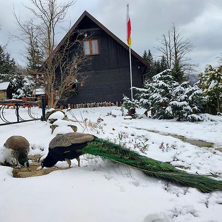 Beskidzka Ostoja Koszarawa ภายนอก รูปภาพ