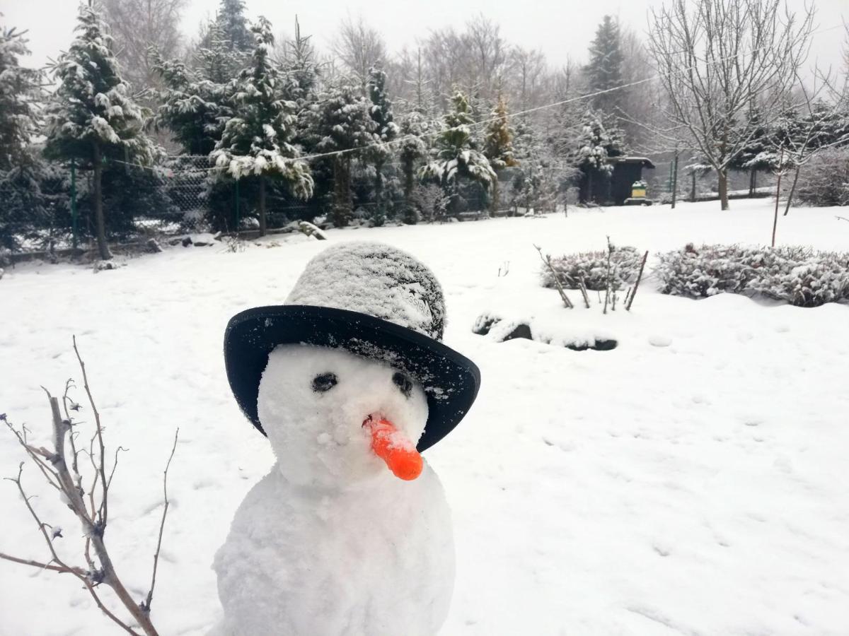 Beskidzka Ostoja Koszarawa ภายนอก รูปภาพ