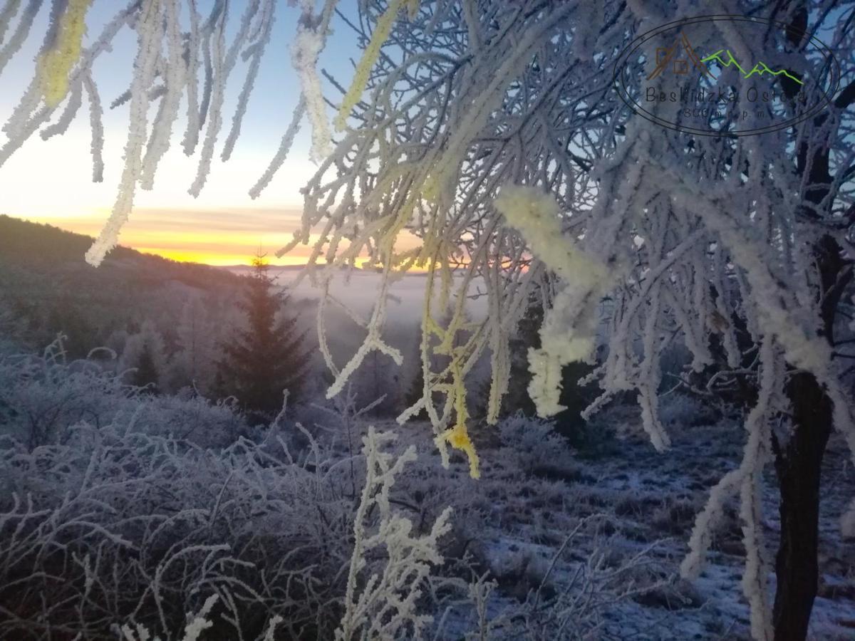 Beskidzka Ostoja Koszarawa ภายนอก รูปภาพ