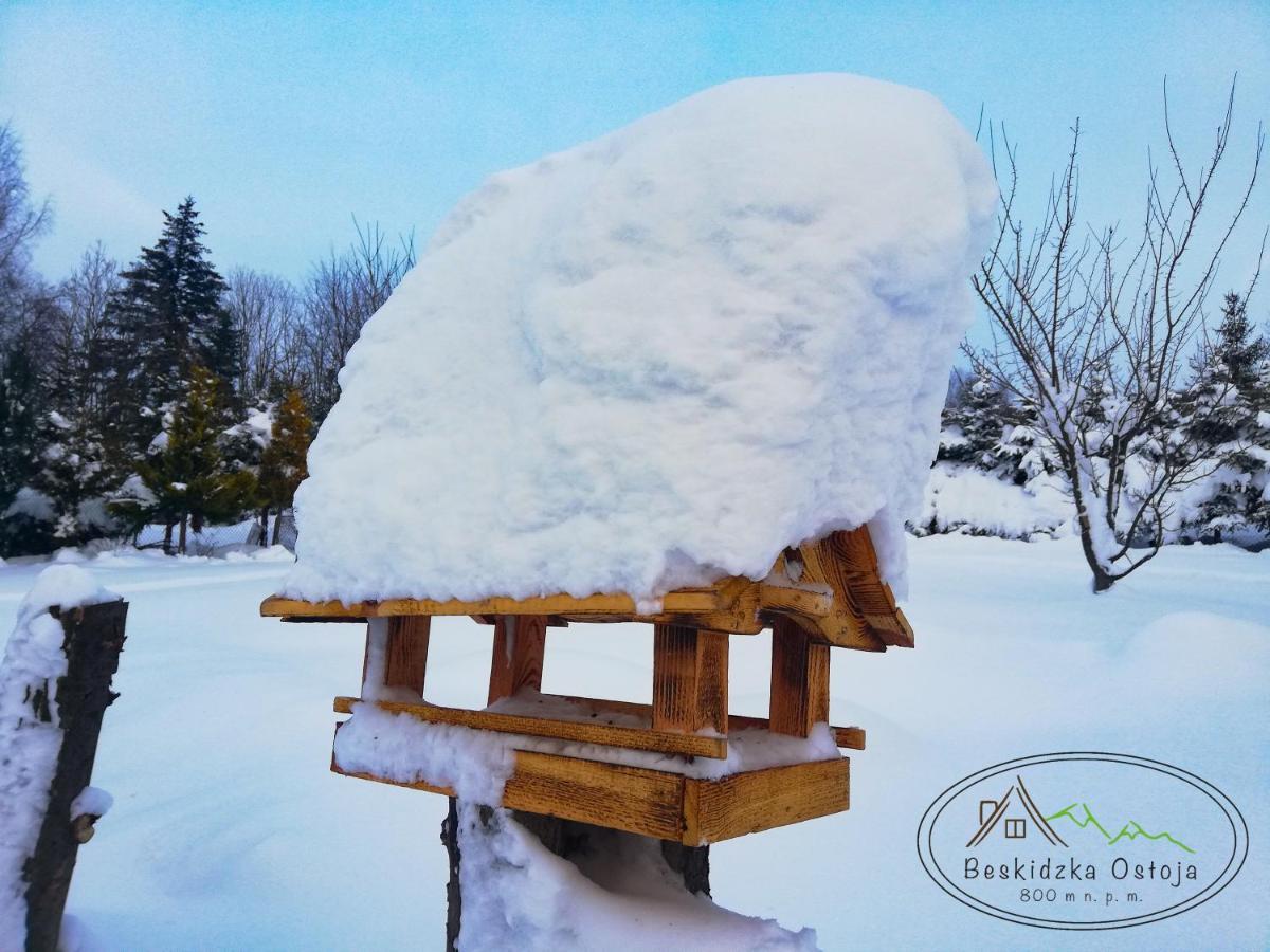 Beskidzka Ostoja Koszarawa ภายนอก รูปภาพ