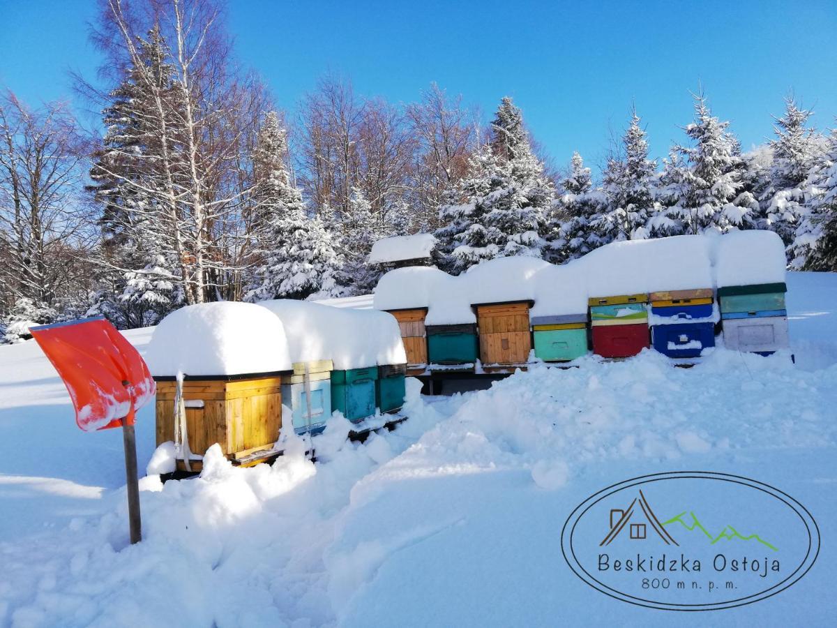 Beskidzka Ostoja Koszarawa ภายนอก รูปภาพ