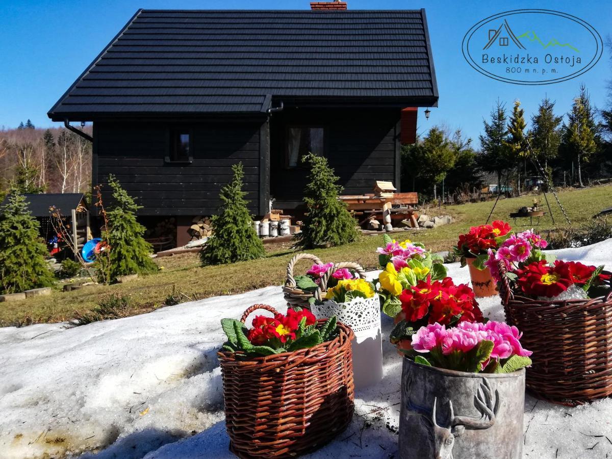 Beskidzka Ostoja Koszarawa ภายนอก รูปภาพ