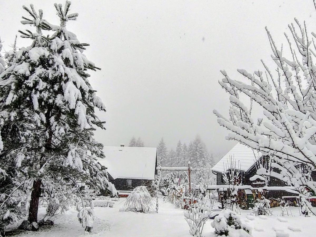 Beskidzka Ostoja Koszarawa ภายนอก รูปภาพ